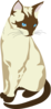 Brown And Cream Colored Cat Clip Art